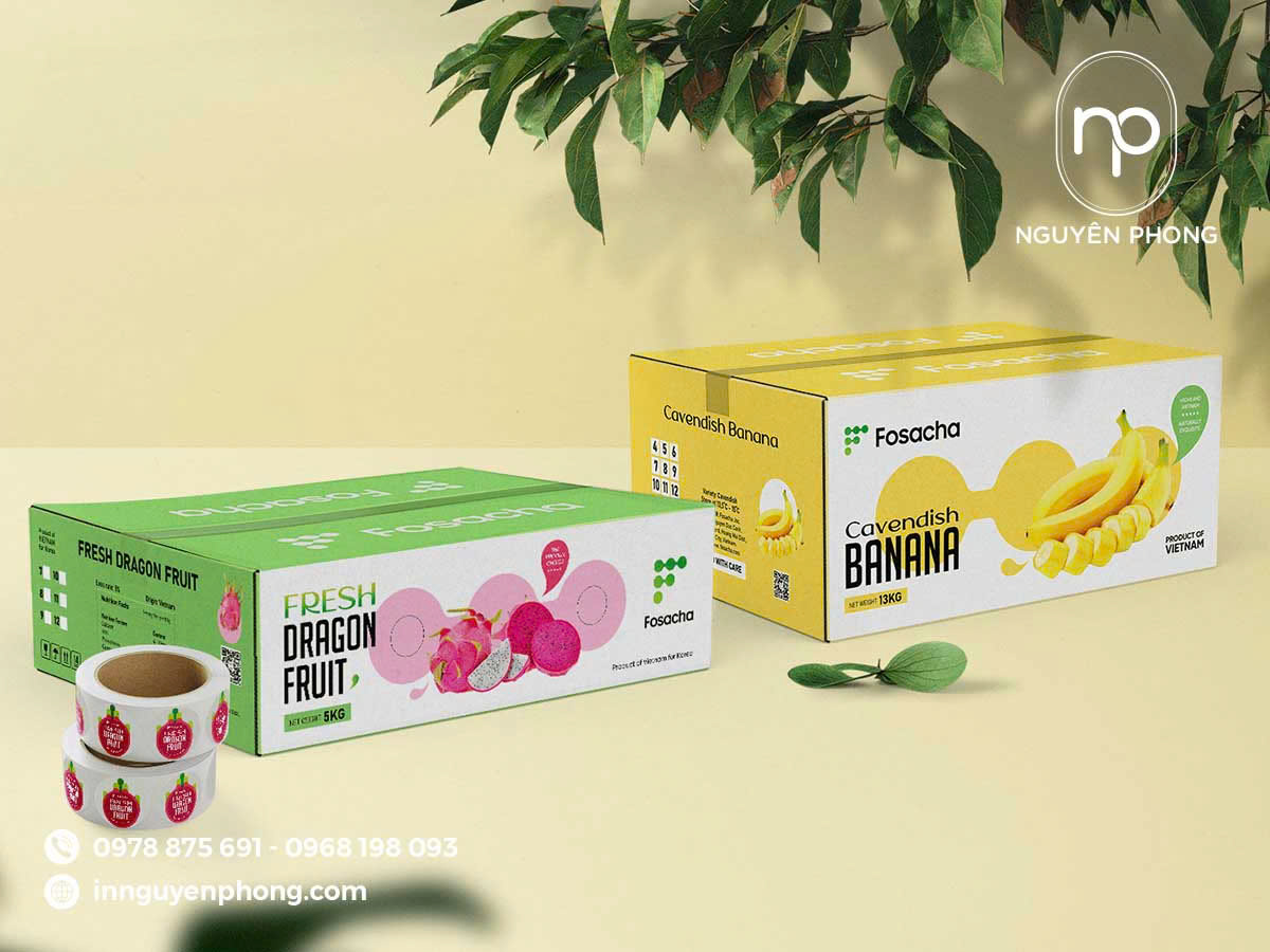 Mẫu hộp carton đựng trái cây